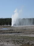 Beehive Geyser