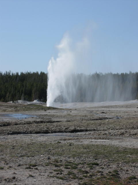 Beehive Geyser