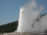 Old Faithful