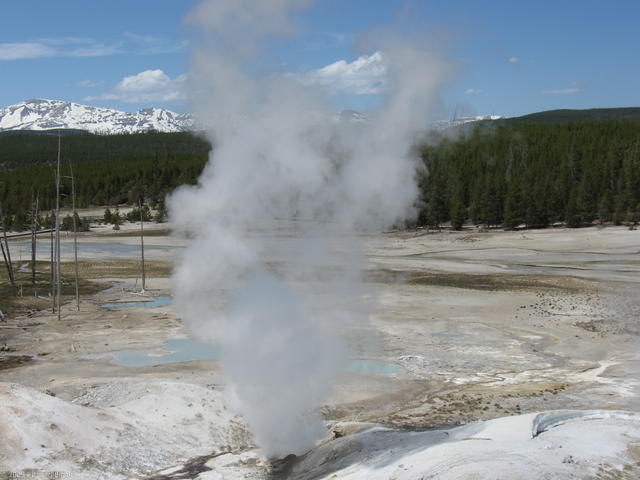 Steam vent at Norris Basin