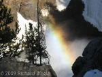 Rainbow at falls