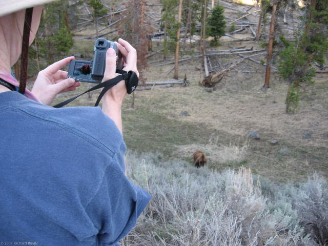 Karen videotaping bear