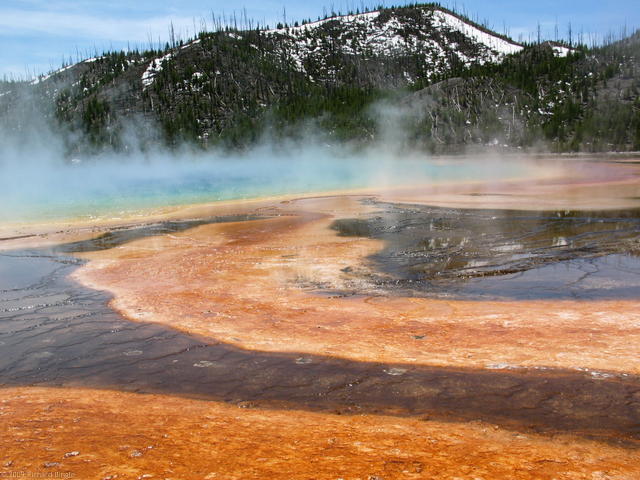 Grand Prismatic Spring