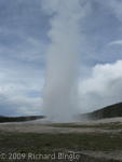 Old Faithful