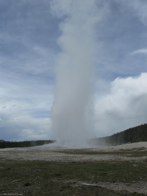Old Faithful