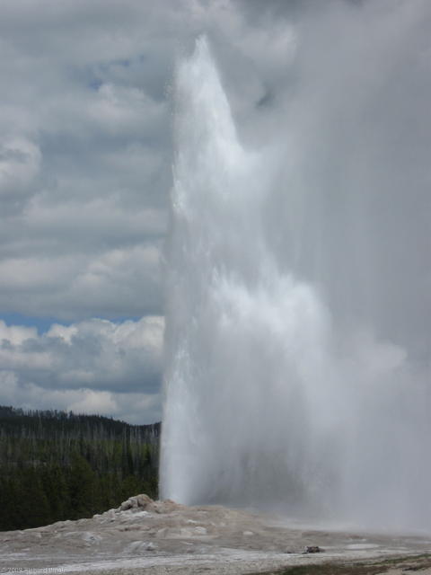 Old Faithful