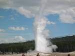 Old Faithful while hiking Upper Geyser Basin