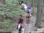 Horseback riding at Glacier