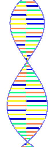 DNA Strand
