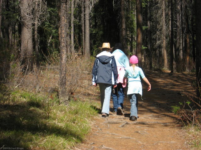 Hiking near Sunwapta Falls