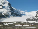 Athabasca Glacier