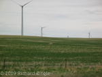 Windmills and pronghorn antelope
