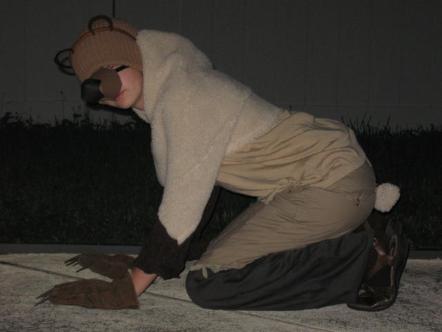 Bear-ly recognizable