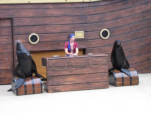 Clyde and Seamore take Pirate Island