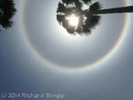 SunHalo1