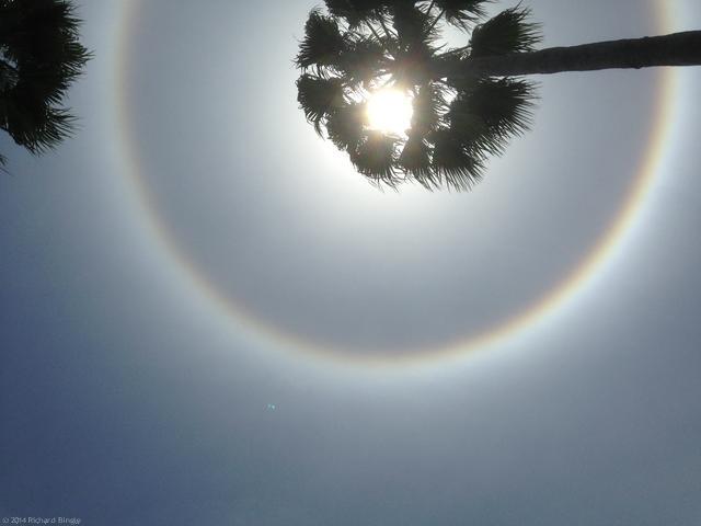 SunHalo1