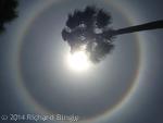 SunHalo2