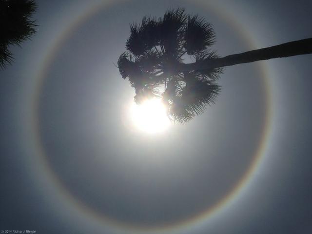 SunHalo2