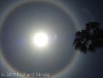 SunHalo3
