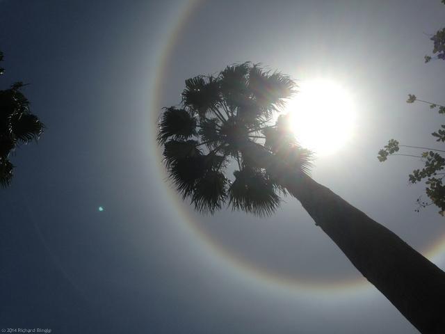SunHalo4