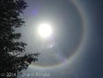 SunHalo5