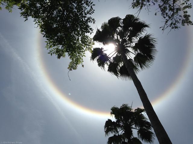 SunHalo6