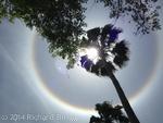 SunHalo7