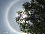 SunHalo8