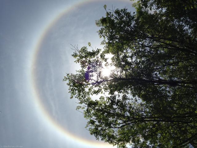 SunHalo8