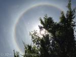 SunHalo9