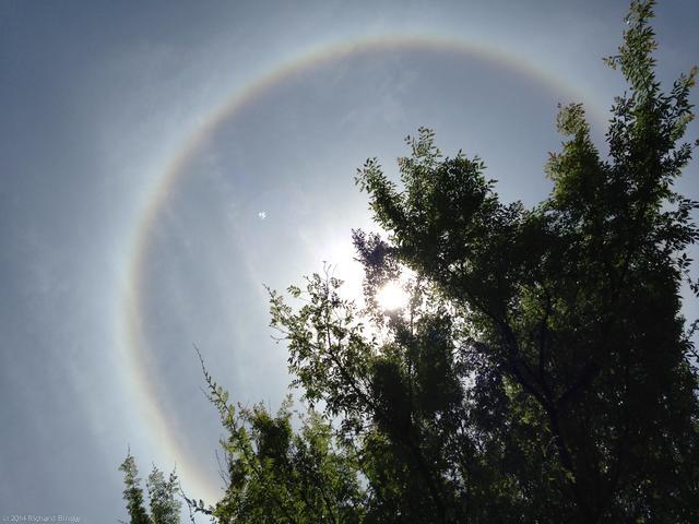 SunHalo9
