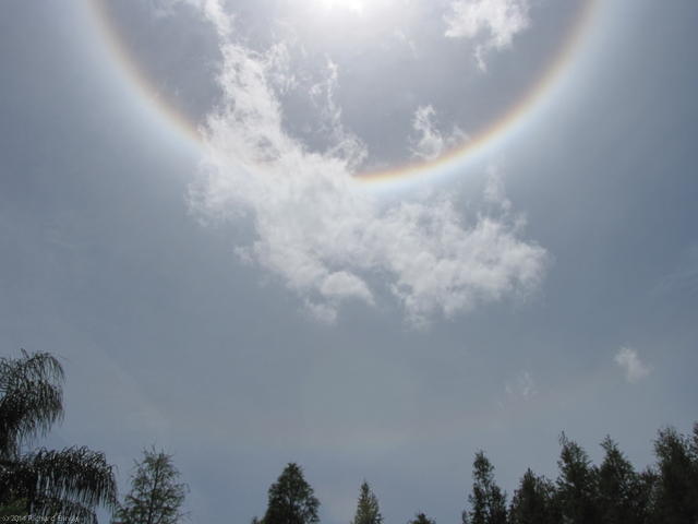 SunHalo-KDB2